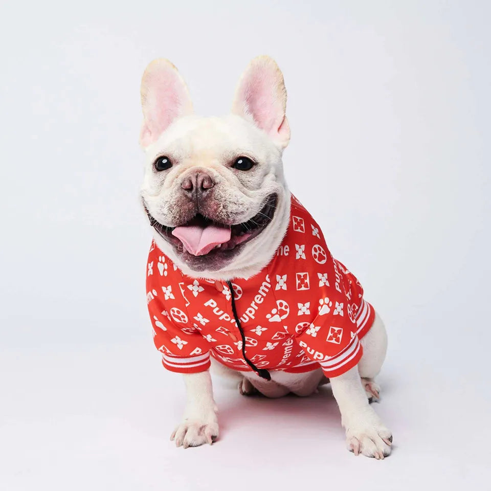 Luxury jacket for dogs