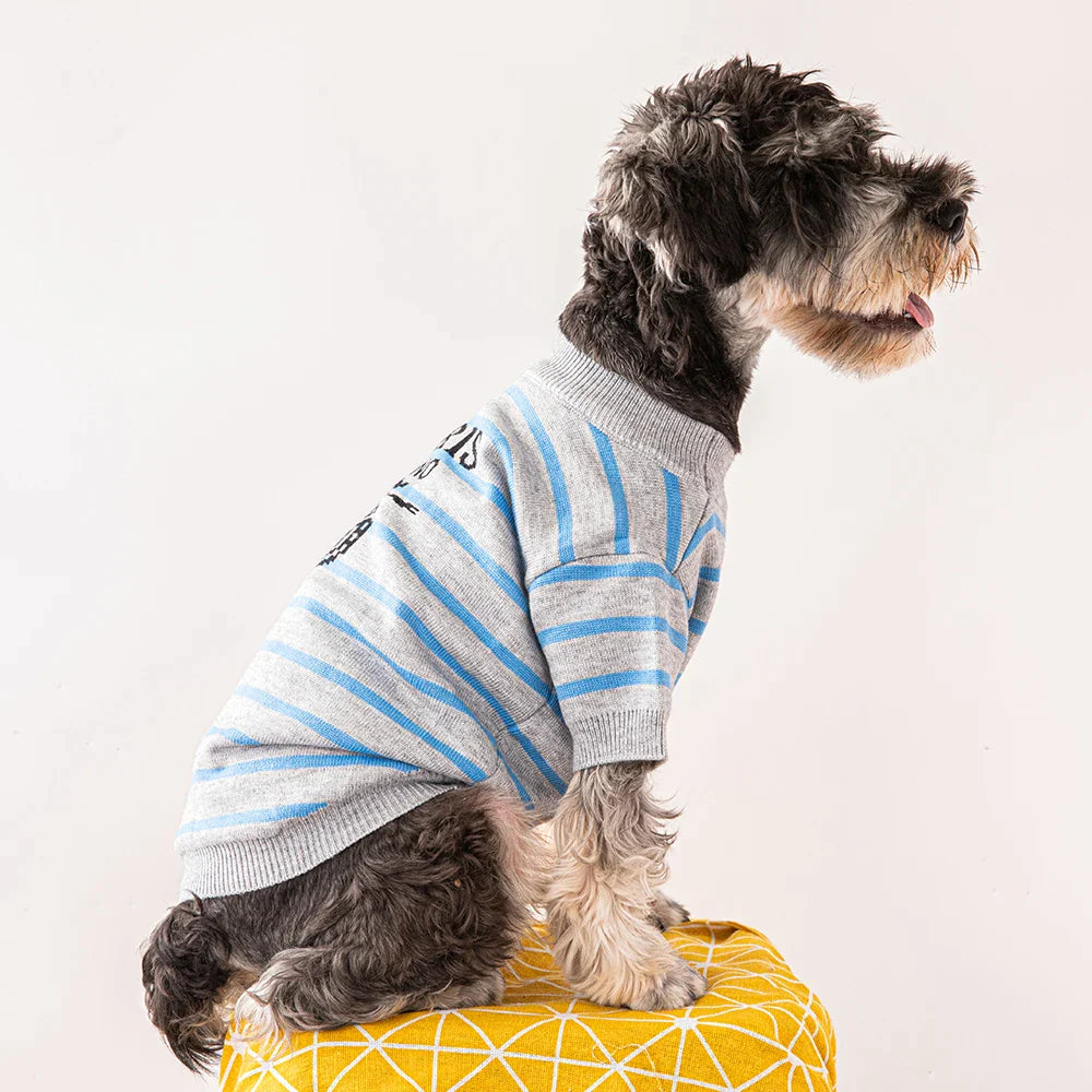 Paris Milano Striped Luxury Dog Shirt -  Dog Clothes By Clothes For My Dog