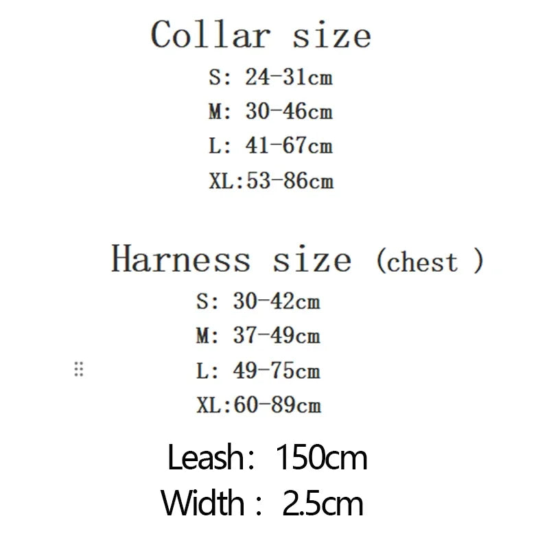 Pucci Monogram Dog Collar, Leash, & Harness
