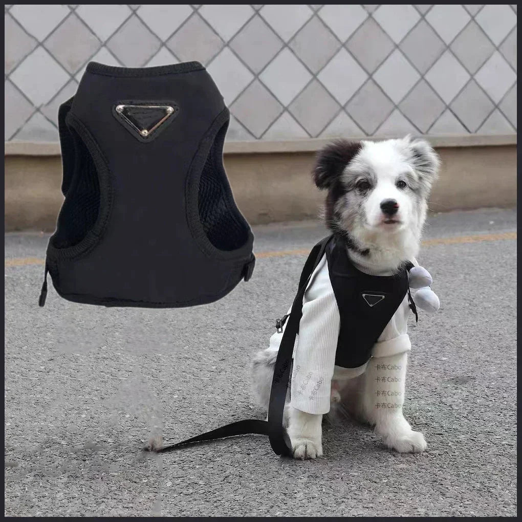 Pawda Designer Dog Leash, Harness, Collar, & Vest - Premium Dog Leash from Clothes For My Dog - Just $33.99! Shop now at Clothes For My Dog